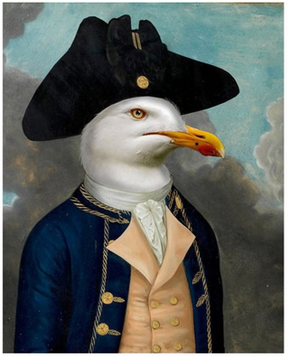 Schilderij in lijst en kussenhoes "Admiraal de Meeuw"