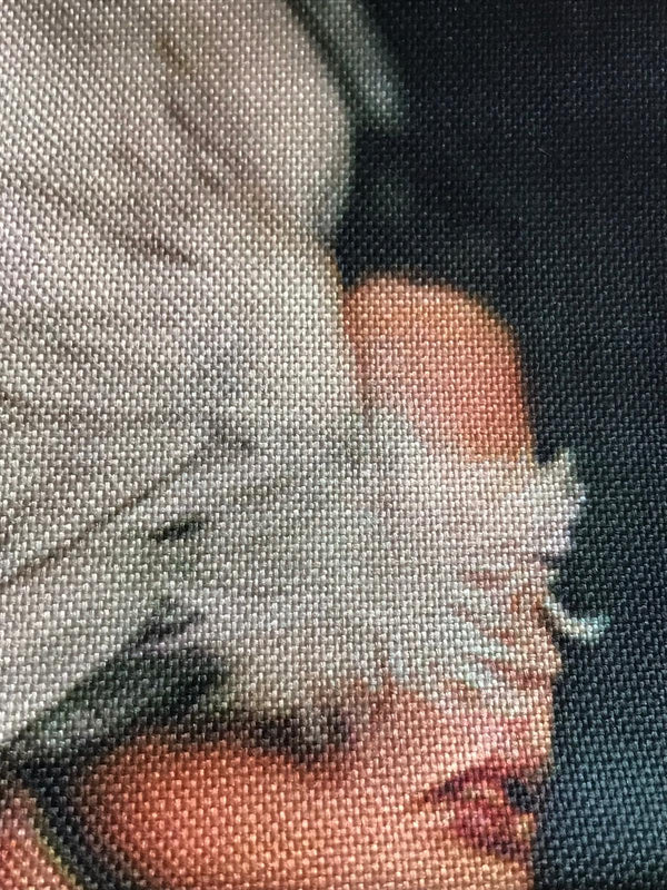 Mooie kussenhoes Dame met vleugels. Vleugels kussenhoes/ kussensoop. Sierkussenhoes Fantasie Vrouw/ Fantasy kussenhoes 45x45