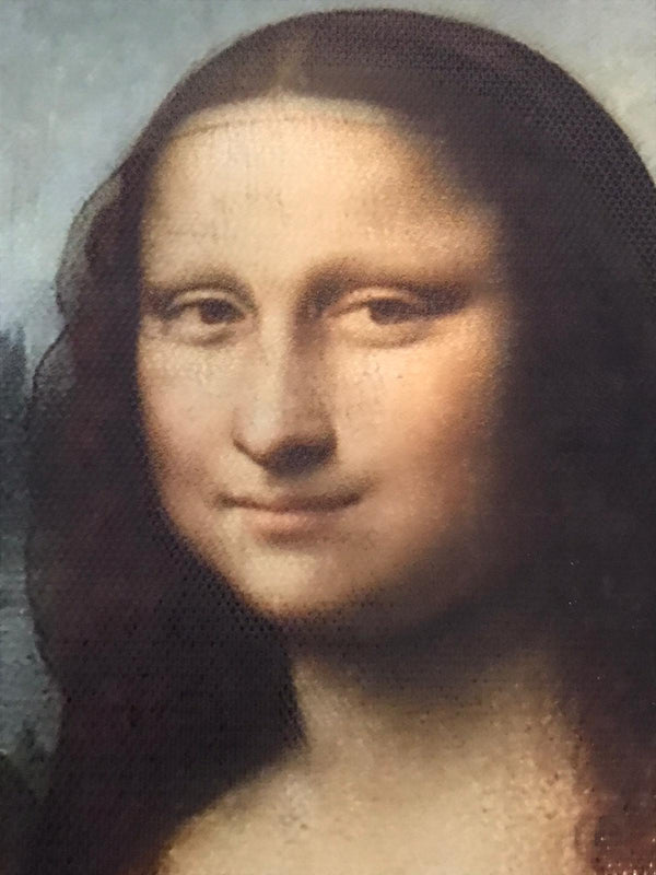 Grappige Schilderij in lijst Mona Lisa met een kat 20x30