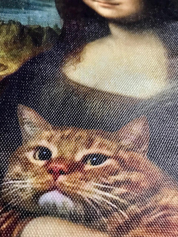 Grappige Schilderij in lijst Mona Lisa met een kat 20x30