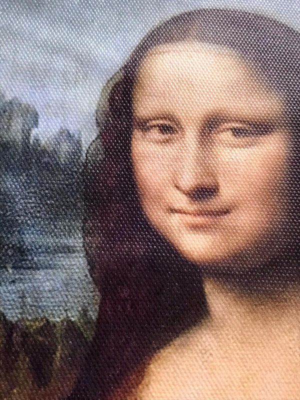 Grappige Schilderij in lijst Mona Lisa met een kat 20x30