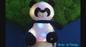 Panda knuffel met lichtjes. Lichtgevende Panda knuffel. Cadeau voor kind knuffel Pandabeer. Panda knuffel met licht.